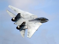 F14 Tomcat Submitted by Brett W